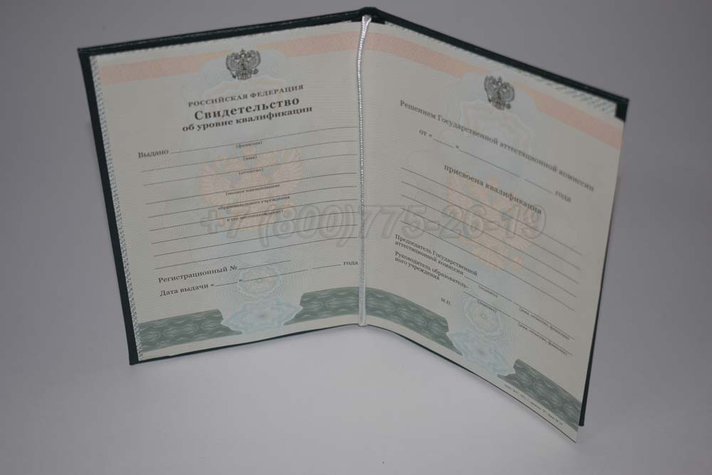 Свидетельство об уровне квалификации Гознак 1994-2025 год выпуска г.Челябинск