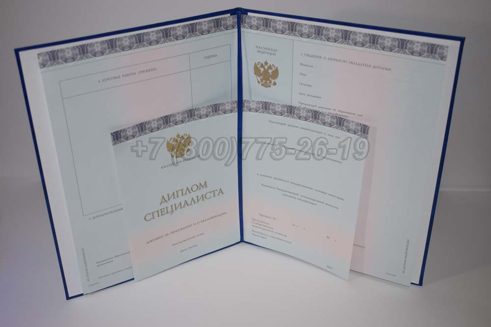 Диплом МГИМО Гознак 2014-2025 год выпуска г.Челябинск