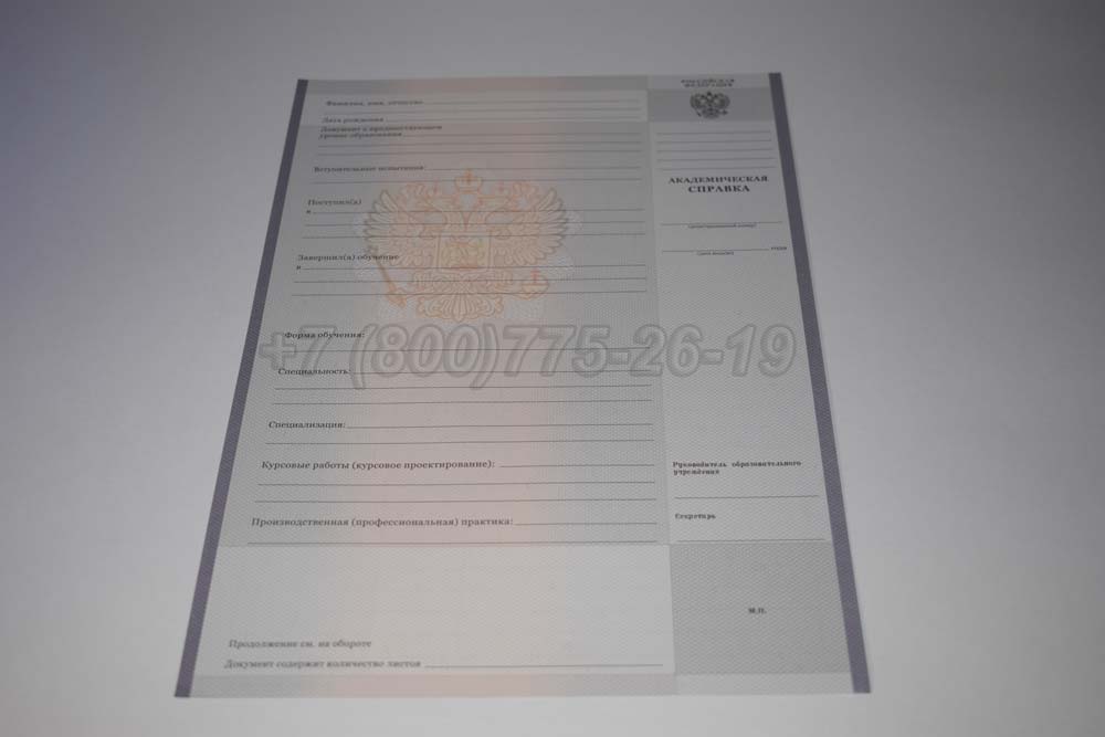 Академическая справка техникума Гознак 2008-2025 год выпуска г.Челябинск