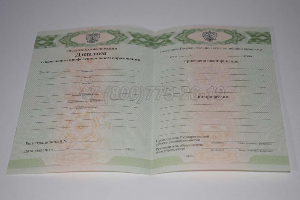 Бланк диплома ПТУ Гознак 2011-2025 год выпуска г.Челябинск