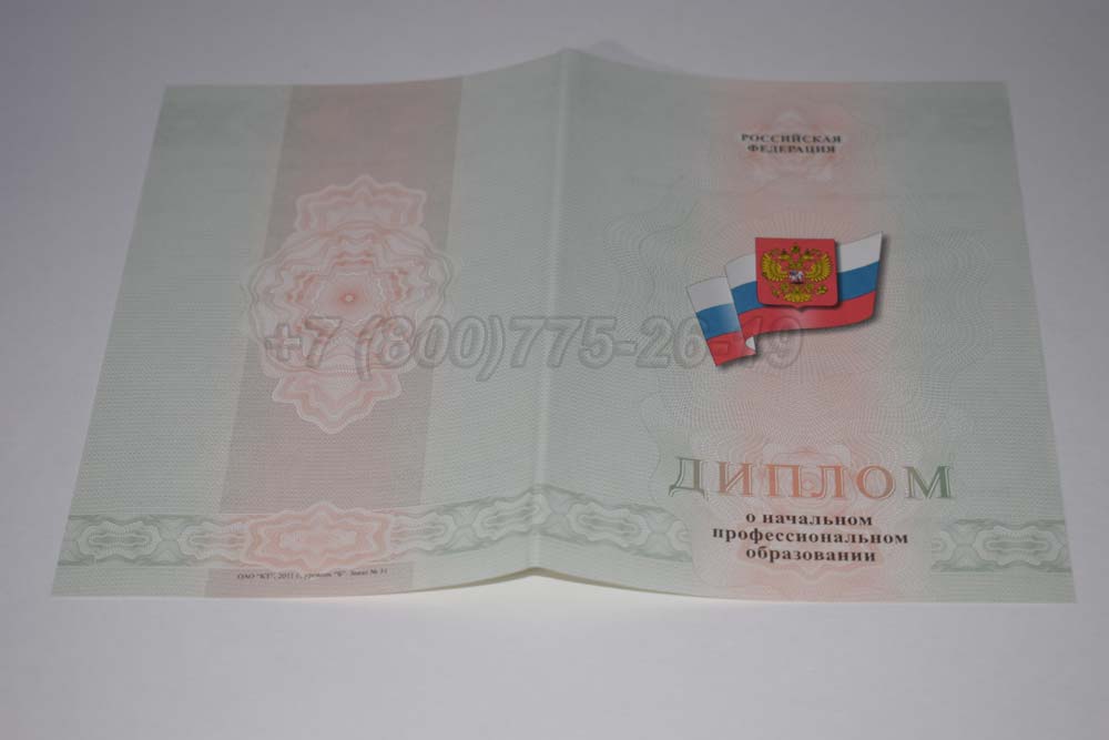 Бланк диплома ПТУ Гознак 2011-2025 год выпуска г.Челябинск