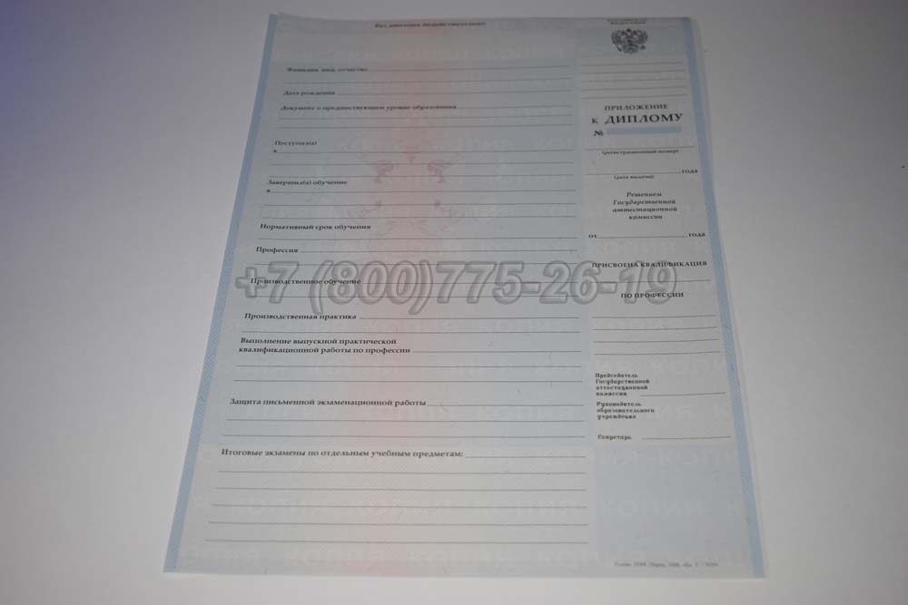 Приложение к диплому ПТУ Гознак 2007-2010 год выпуска г.Челябинск