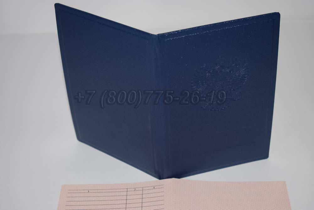 Диплом ПТУ Гознак 1994-2006 год выпуска г.Челябинск