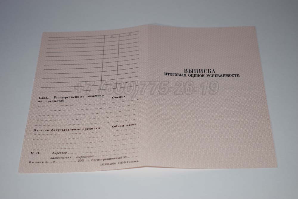 Выписка к диплому ПТУ Гознак 1994-2006 год выпуска г.Челябинск