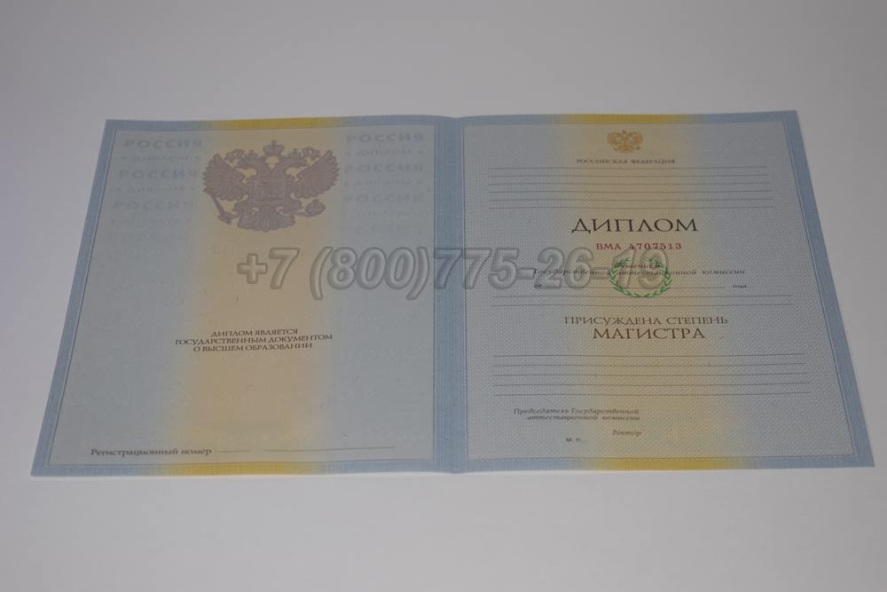 Бланк диплома магистра Гознак 2009-2010 год выпуска г.Челябинск