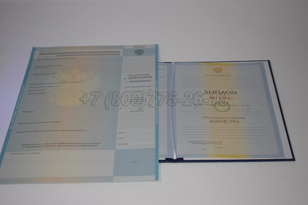 Диплом магистра Гознак 2009-2010 год выпуска г.Челябинск