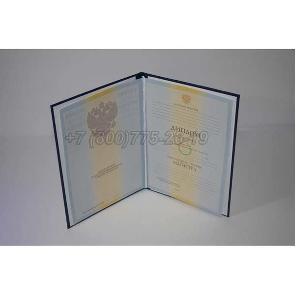 Диплом магистра 2009-2010 г.в. Челябинск