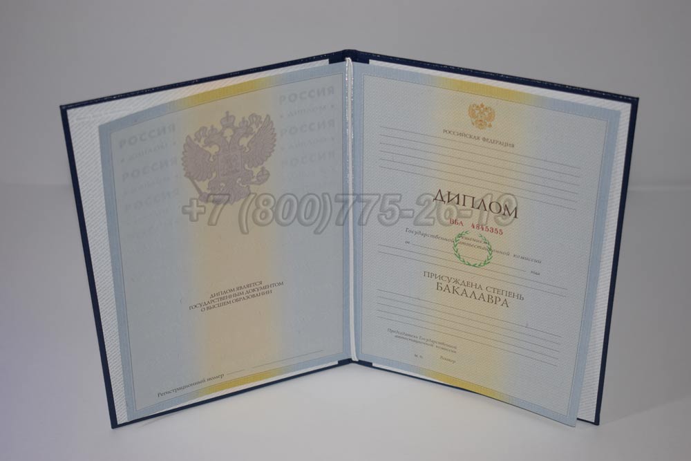 Диплом бакалавра Гознак 2009-2010 год выпуска г.Челябинск