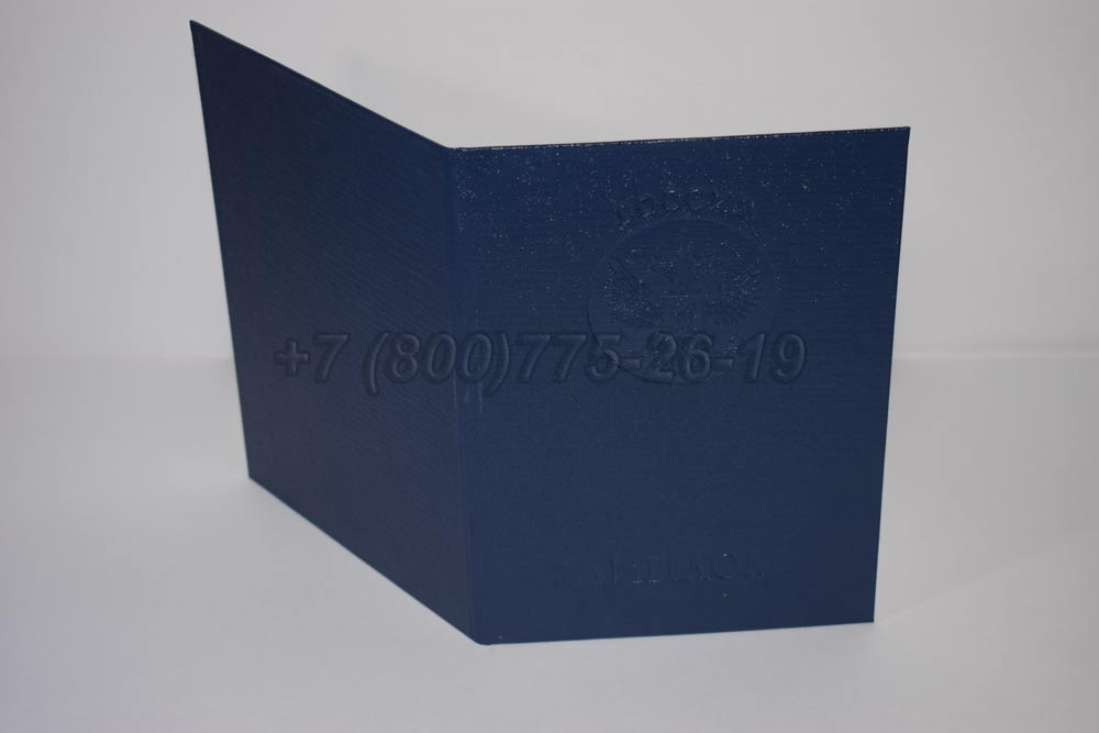 Диплом бакалавра Гознак 2009-2010 год выпуска г.Челябинск