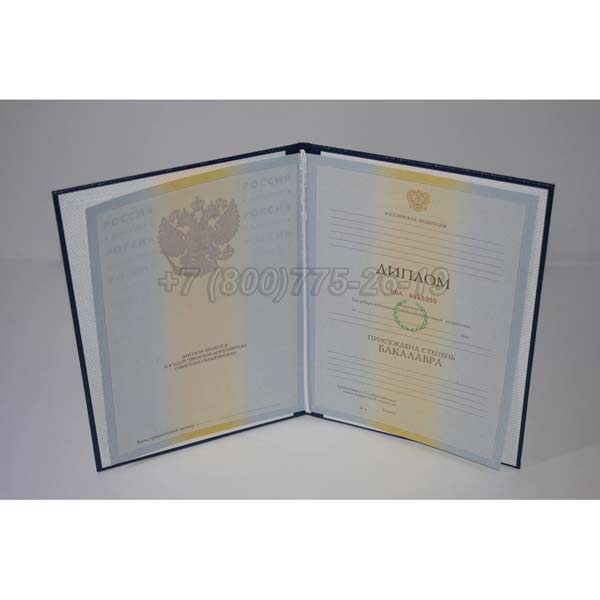 Диплом бакалавра 2009-2010 г.в. Челябинск