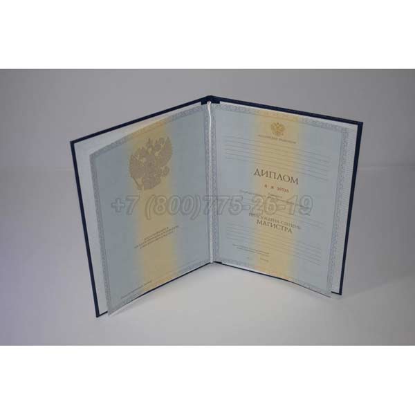 Диплом магистра 2011-2013 г.в. Челябинск