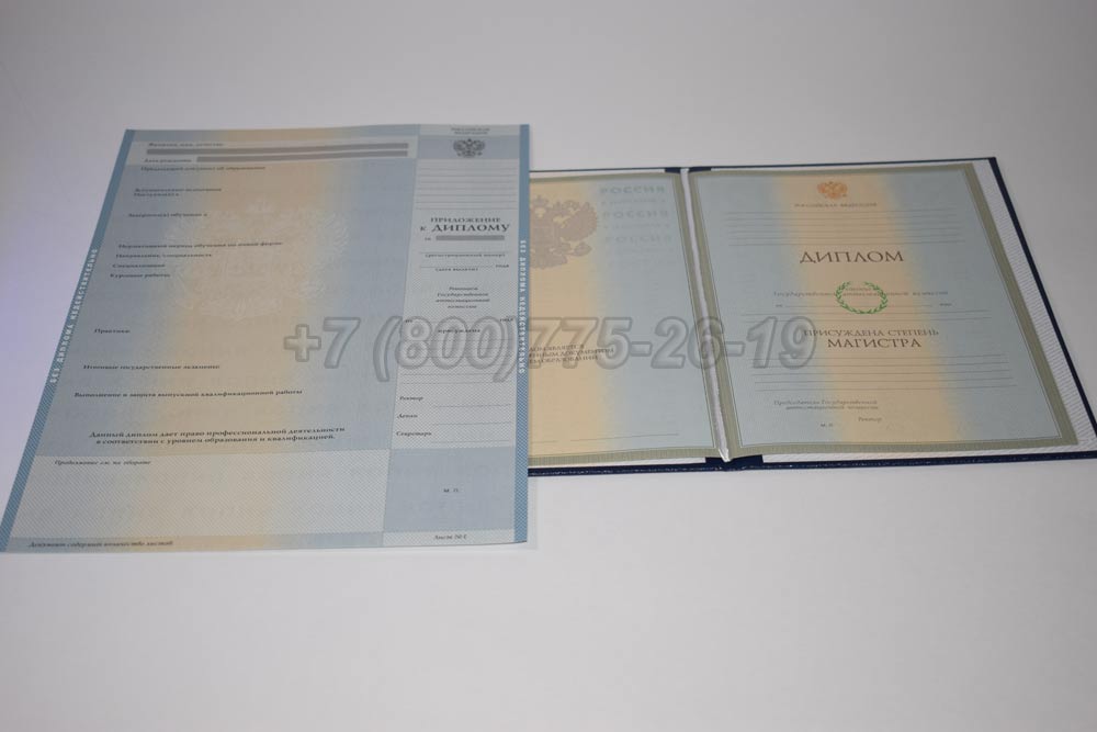 Диплом магистра Гознак 2003-2008 год выпуска г.Челябинск