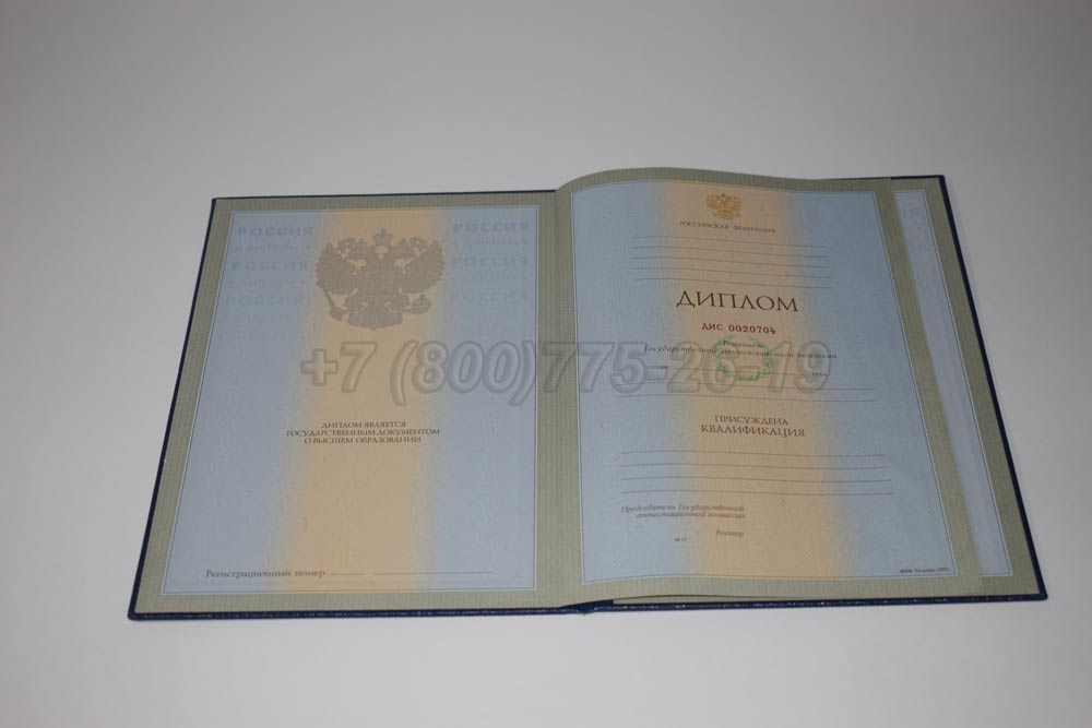 Диплом для иностранных граждан Гознак 1997-2025 год выпуска г.Челябинск