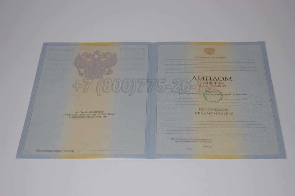 Бланк красного диплома о высшем образовании 2009-2010 год выпуска г.Челябинск