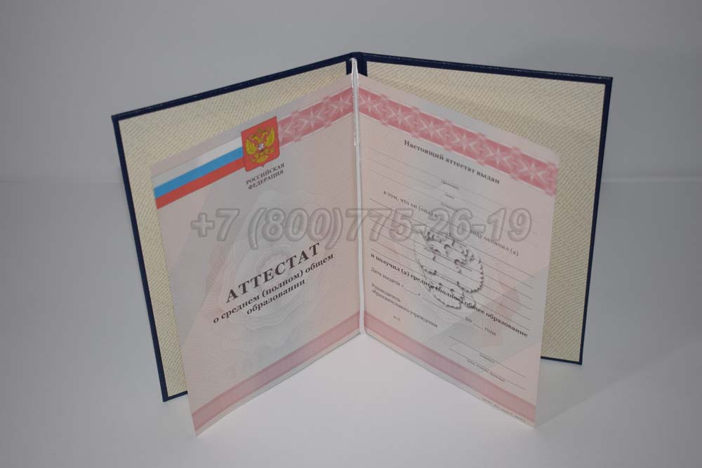 Аттестат за 11 класс Гознак 2008-2009 год выпуска г.Челябинск
