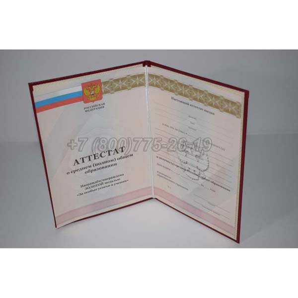 Аттестат За 11 Класс Золото 2010-2013 г.в. Челябинск