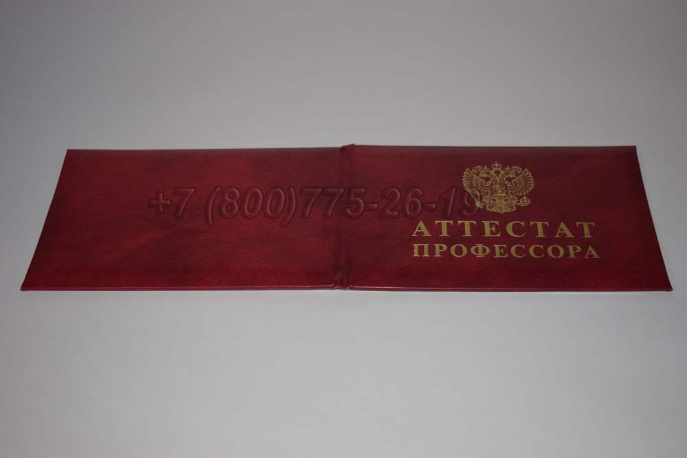 Атестат профессора Гознак 2015-2025 год выпуска г.Челябинск
