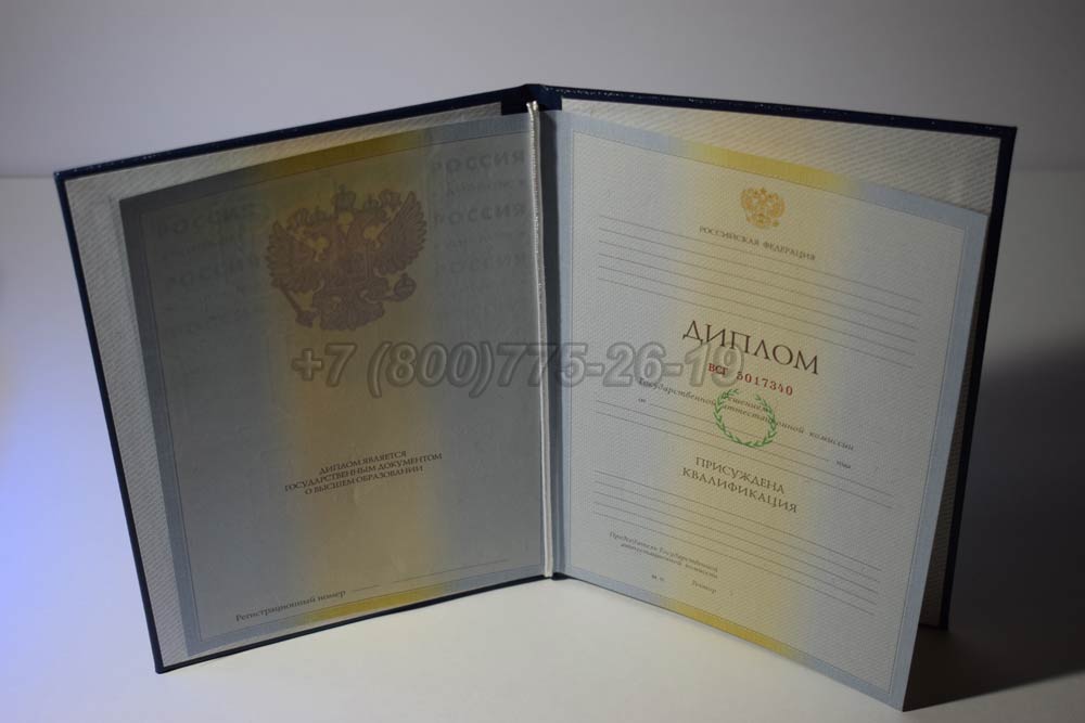 Диплом о высшем образовании Гознак 2009-2010 год выпуска г.Челябинск