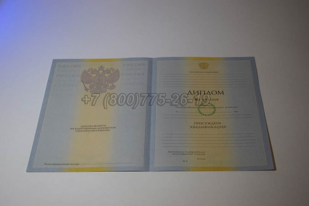 Бланк диплома о высшем образовании 2009-2010 год выпуска г.Челябинск
