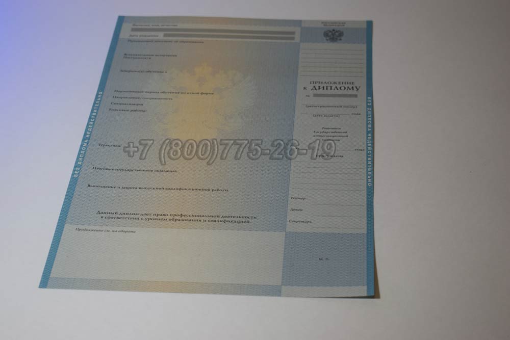 Приложение к диплому о высшем образовании 2009-2010 год выпуска г.Челябинск