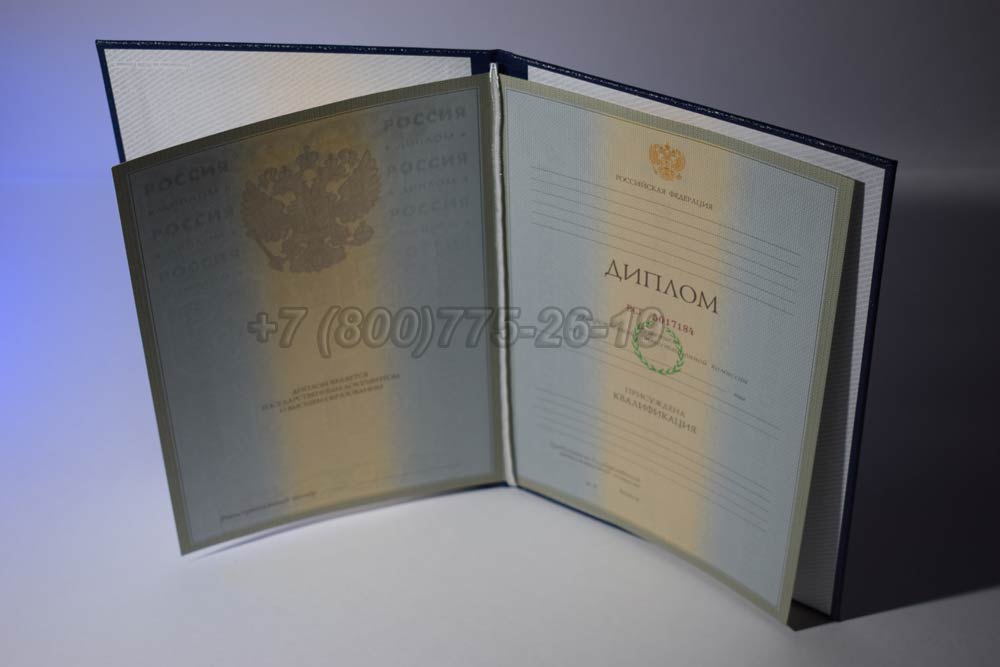 Диплом института Гознак 2003-2008 год выпуска г.Челябинск