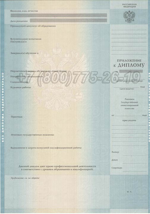 Диплом института Гознак 2003-2008 год выпуска г.Челябинск