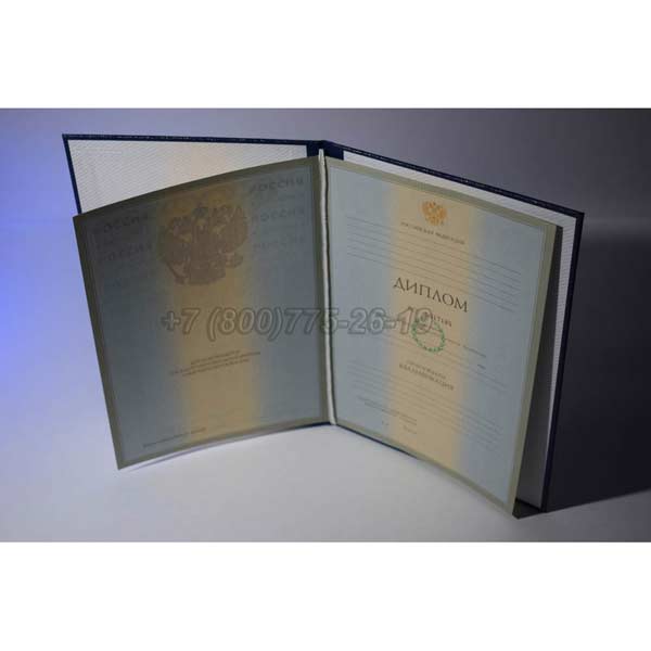 Диплом о высшем образовании 2003-2008 г.в. Челябинск
